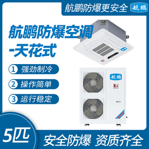 航鹏防爆空调（吸顶式）5匹