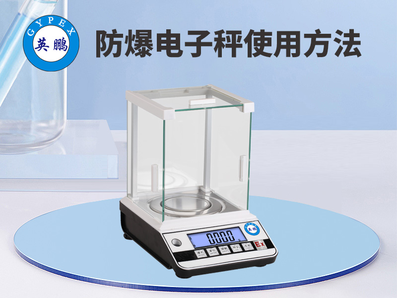 防爆电子秤使用方法.jpg