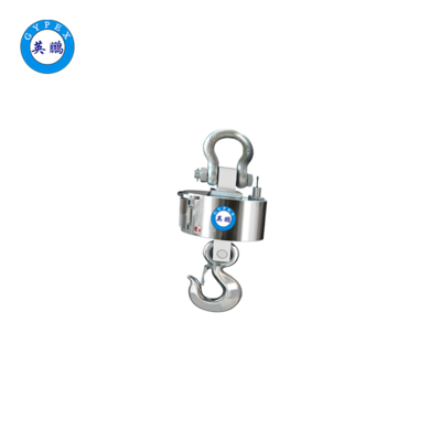 英鹏 &nbsp;防爆电子吊秤